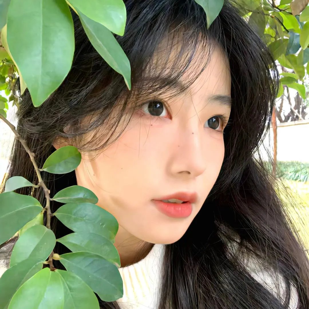 刘三姐